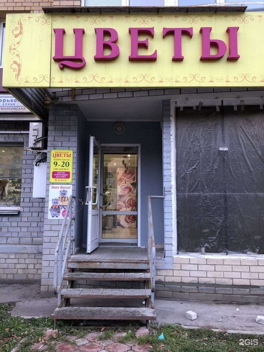 Отзывы на компанию Jasmine flowers в Кирове c фото