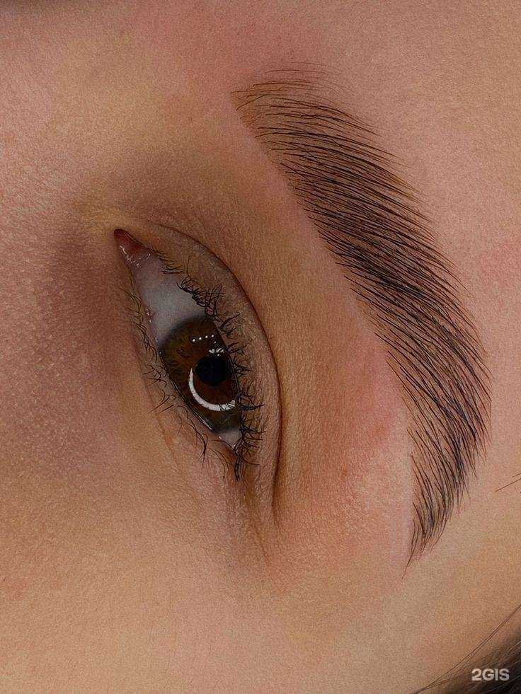 Отзывы на компанию Коляда в Новокузнецке c фото