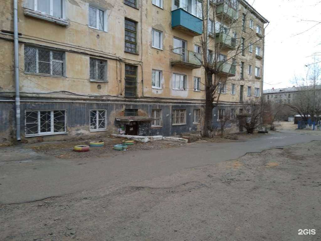 Отзывы на компанию Лапушка в Чите c фото - фотография 2 из 2