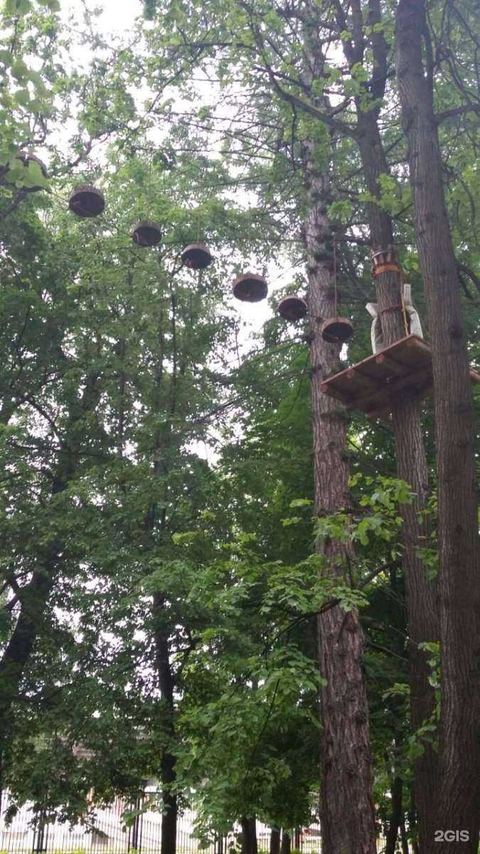 Отзывы на компанию Дитя джунглей в г. Рязань c фото