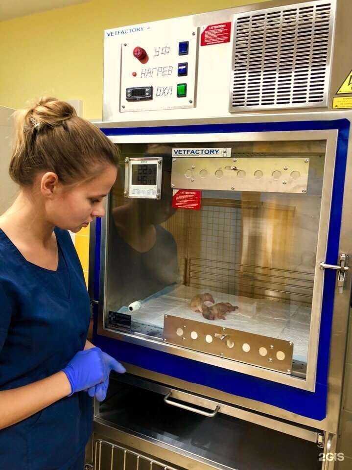 Отзывы на компанию Vetera в г. Новомосковск c фото