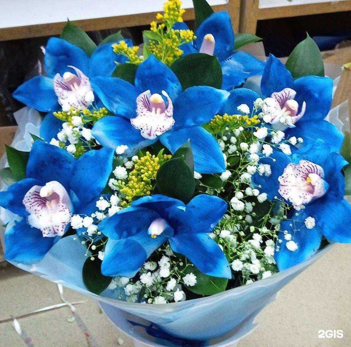 Отзывы на компанию Привет Букет в Красноярске c фото