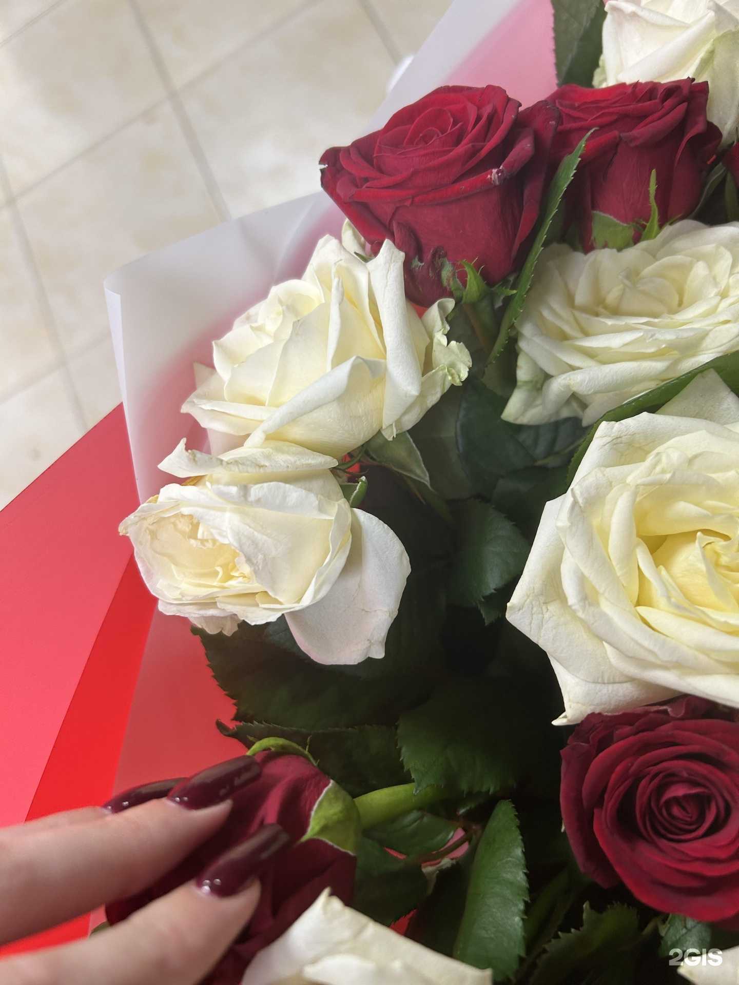 Отзывы на компанию Колумб в Нижнем Новгороде c фото - фотография 2 из 2