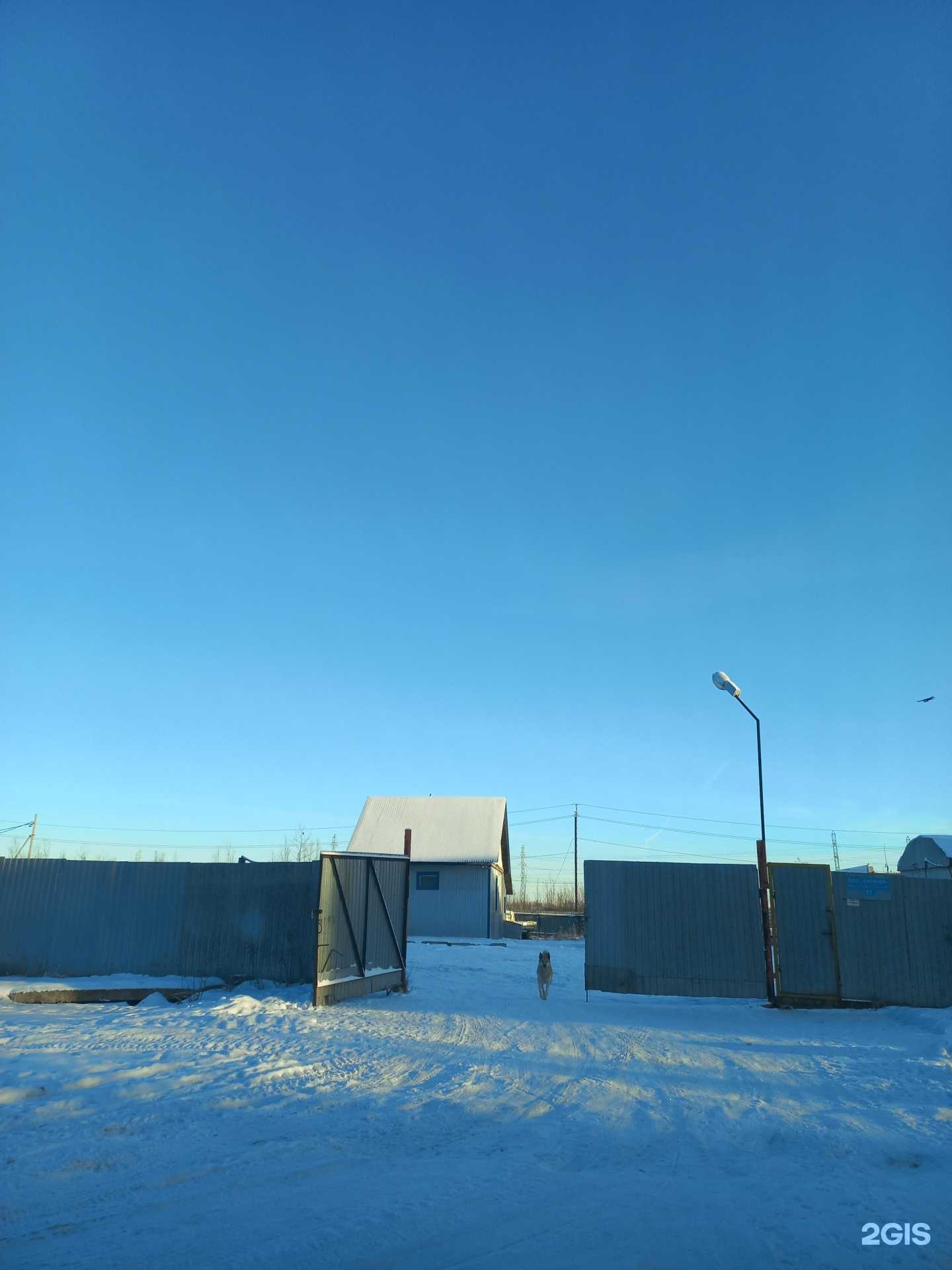 Отзывы на компанию Антикор в Нижневартовске c фото - фотография 2 из 2