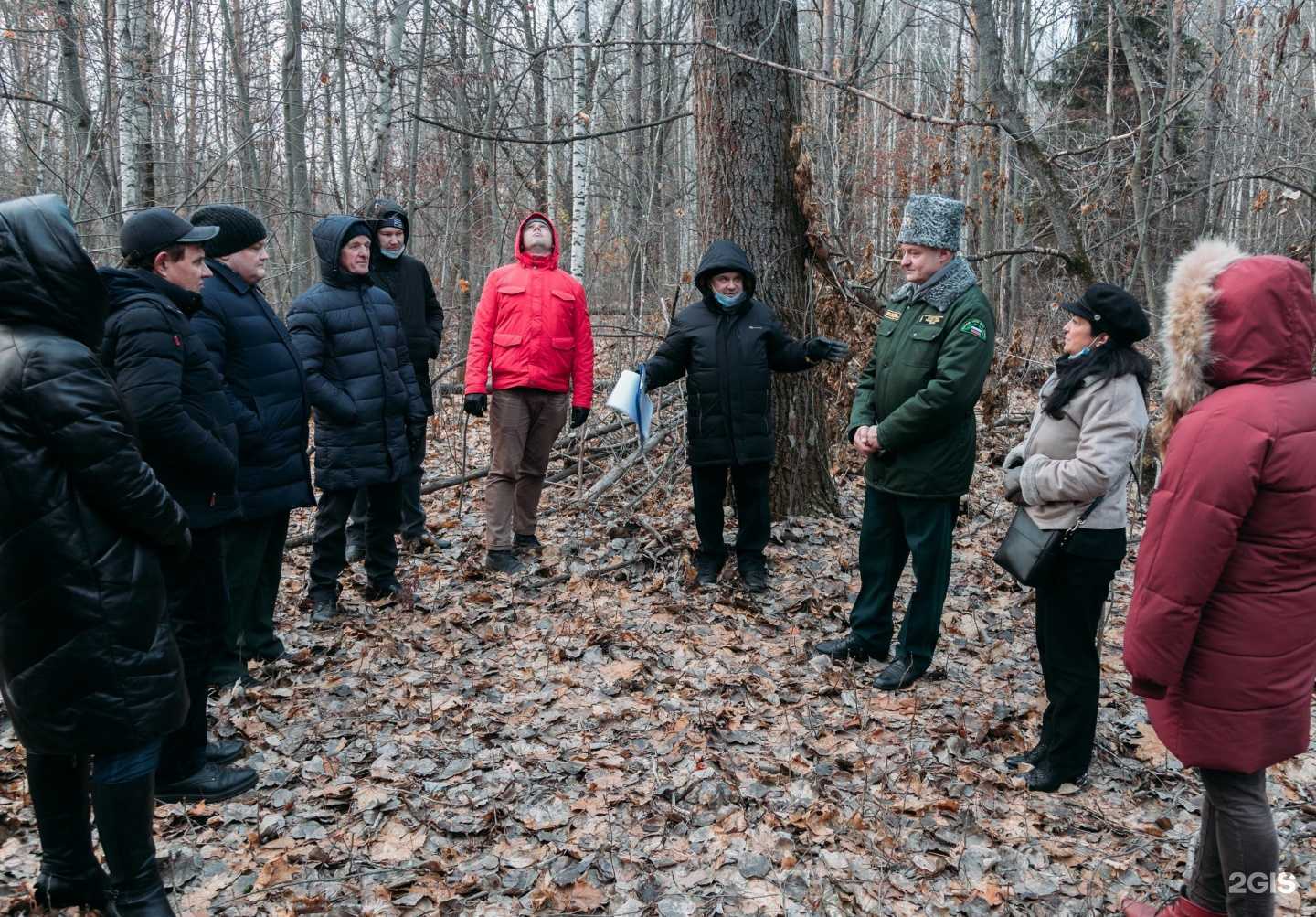 Отзывы на компанию Всероссийский НИИ лесной генетики, селекции и биотехнологии в Воронеже c фото