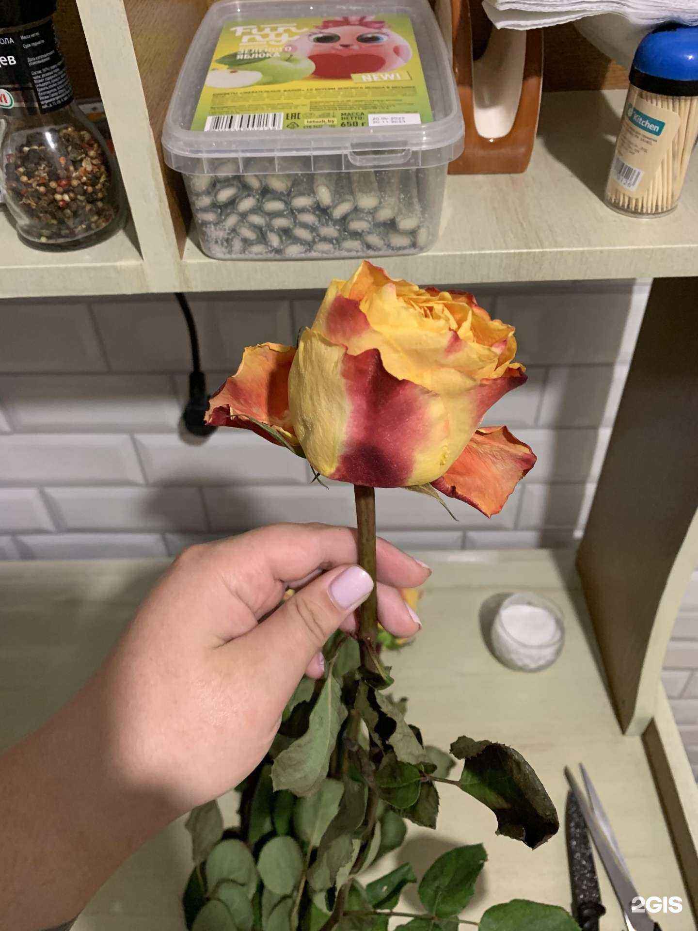 Отзывы на компанию Роза-мимоза в Барнауле c фото