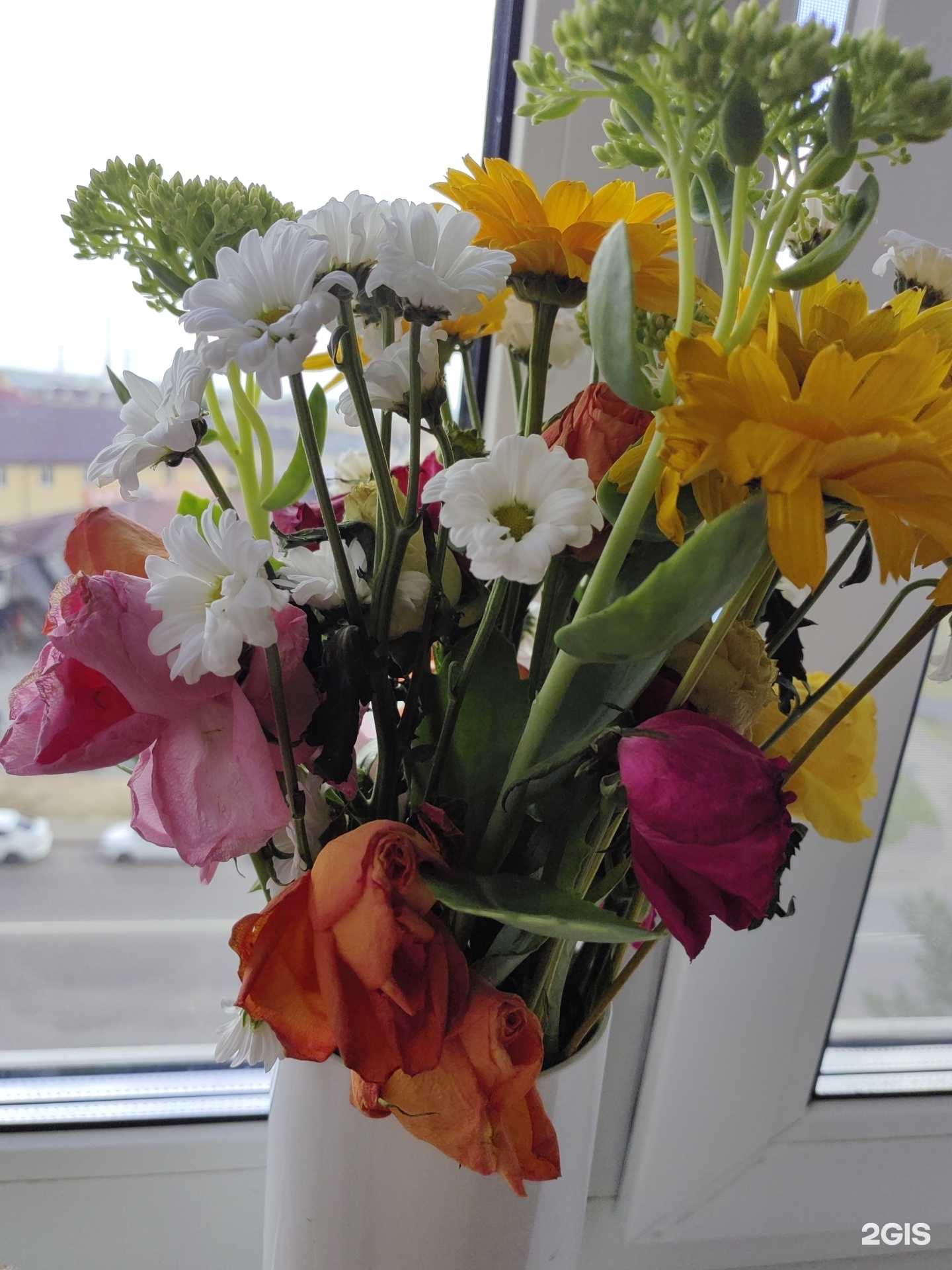 Отзывы на компанию Flower Shop в г. Смоленск c фото