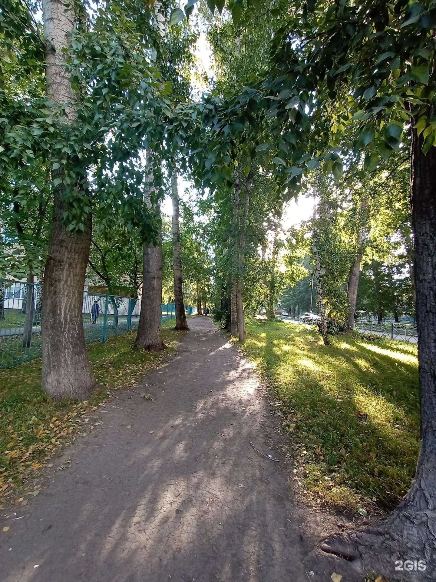 Отзывы на компанию Средняя школа №63 в Новосибирске c фото