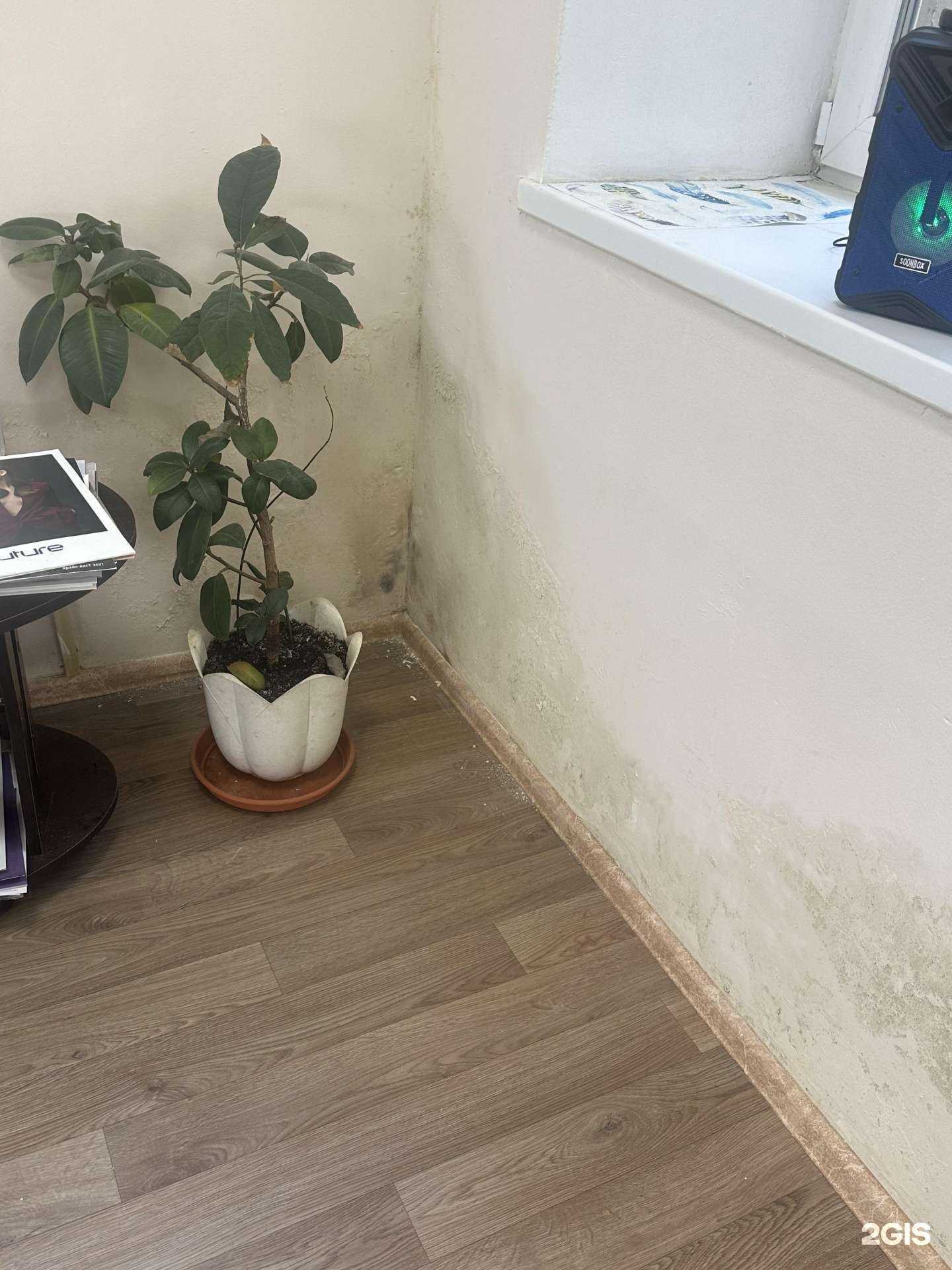 Отзывы на компанию Fox в г. Тула c фото