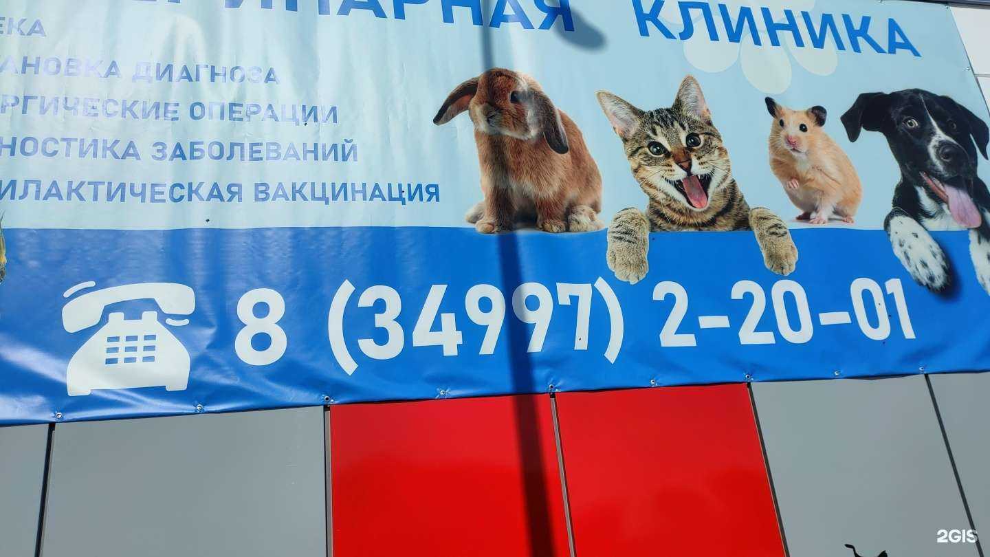 Отзывы на компанию Ветеринарная клиника в г. Тарко-Сале c фото