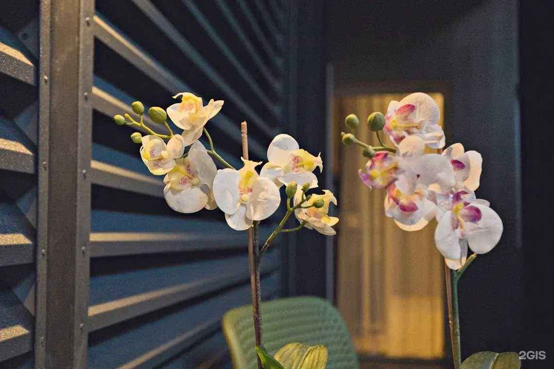 Отзывы на компанию Валерия в Сочи c фото