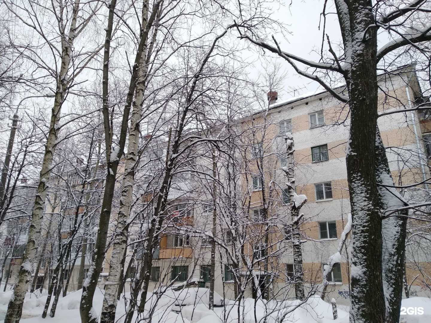 Отзывы на компанию Арктик в Архангельске c фото - фотография 2 из 2