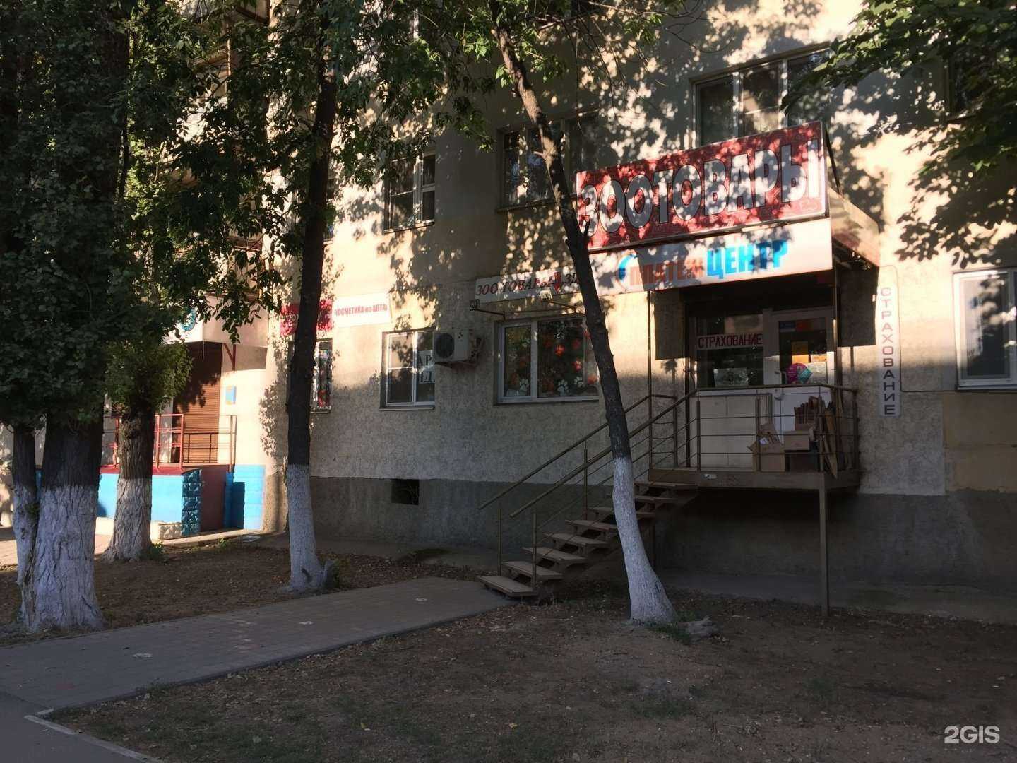 Отзывы на компанию Лучшие друзья в Саратове c фото