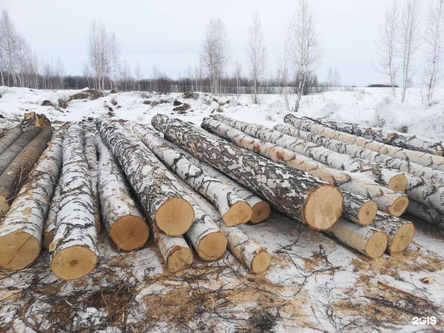 Отзывы на компанию База дров в Омске c фото