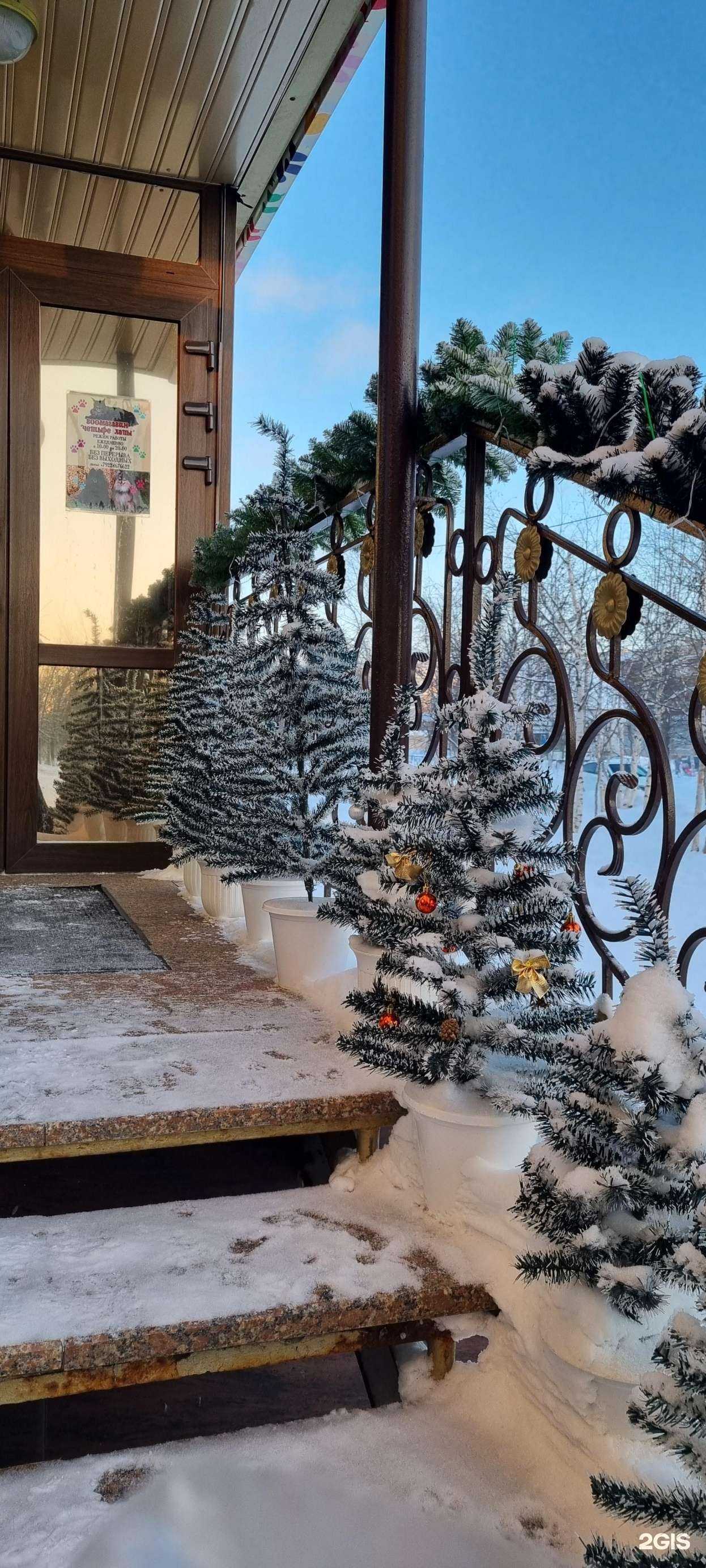 Отзывы на компанию Четыре Лапы в г. Ноябрьск c фото