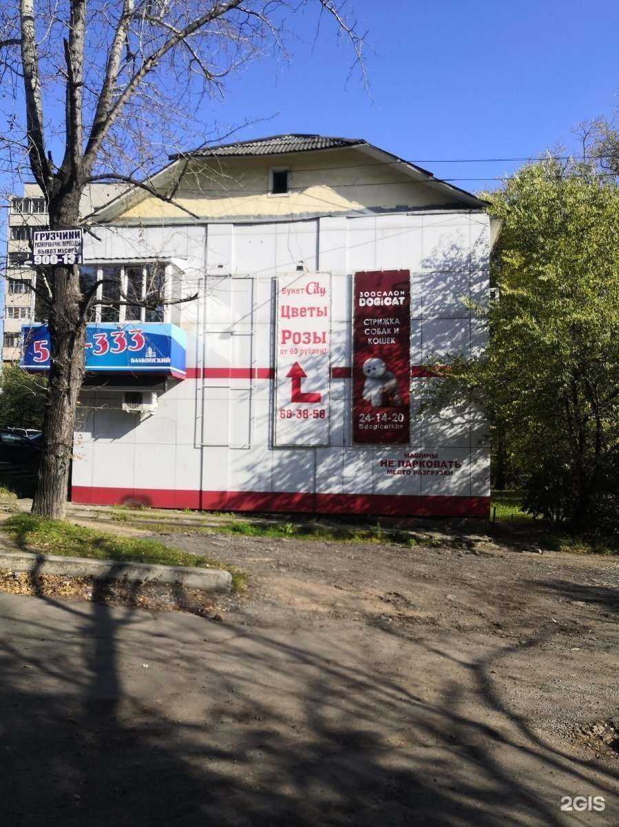 Отзывы на компанию Малина в Хабаровске c фото - фотография 2 из 2