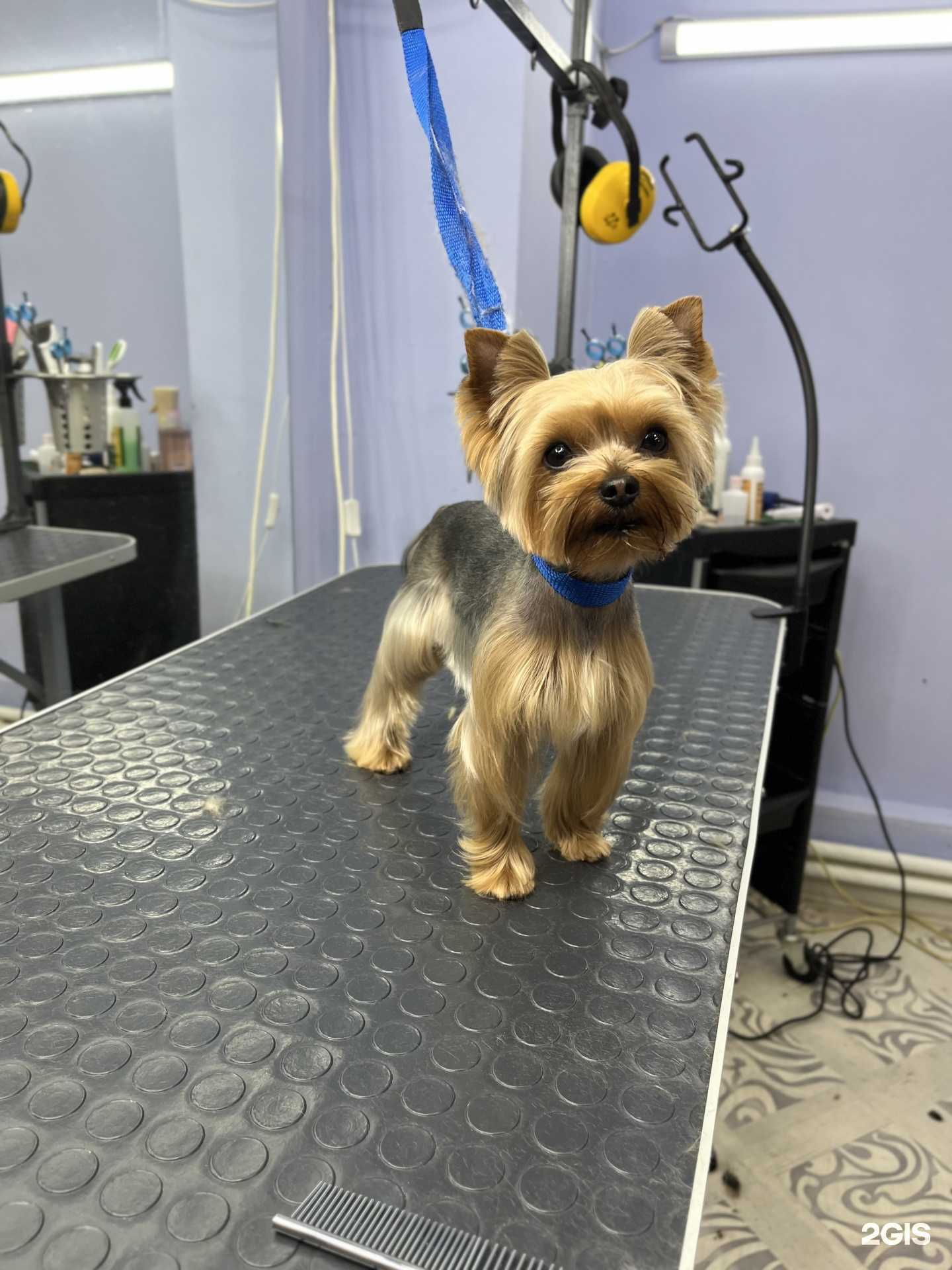 Отзывы на компанию Айкито в г. Шелехов c фото