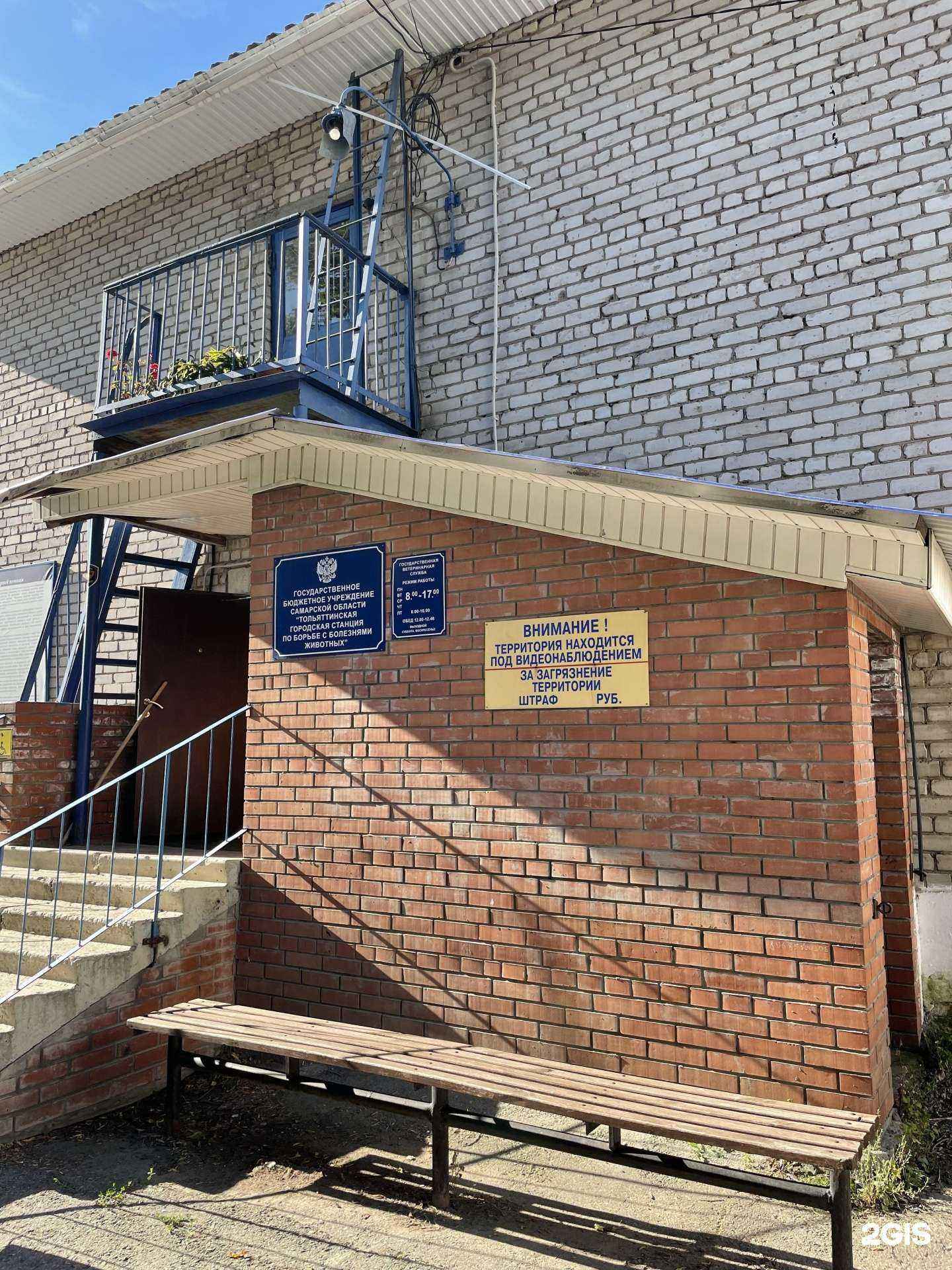 Отзывы на компанию Тольяттинская станция по борьбе с болезнями животных в Тольятти c фото