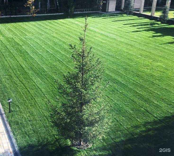 Отзывы на компанию Газоны Урала в г. Челябинск c фото