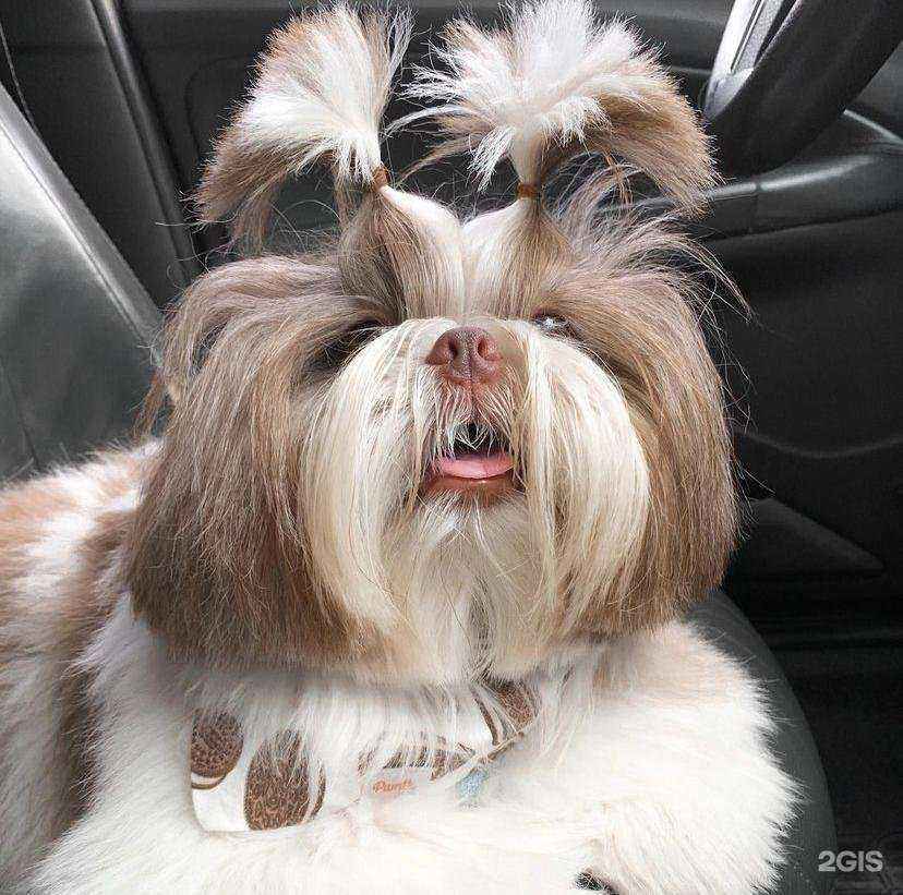 Отзывы на компанию Wow в Хабаровске c фото