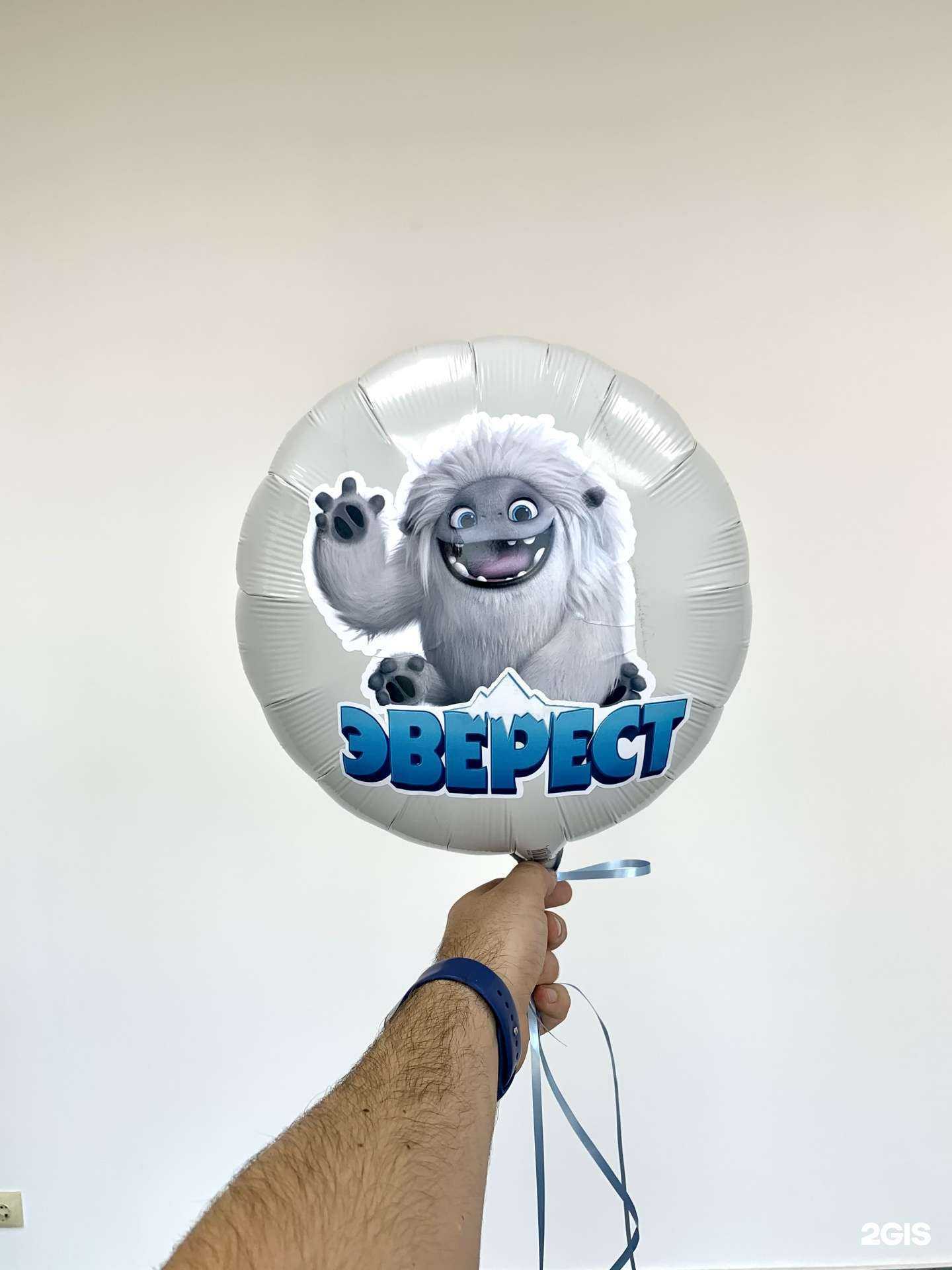 Отзывы на компанию Шарик31 в Белгороде c фото