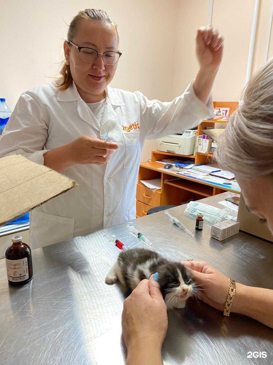 Отзывы на компанию Mr. Dilan в г. Самара c фото