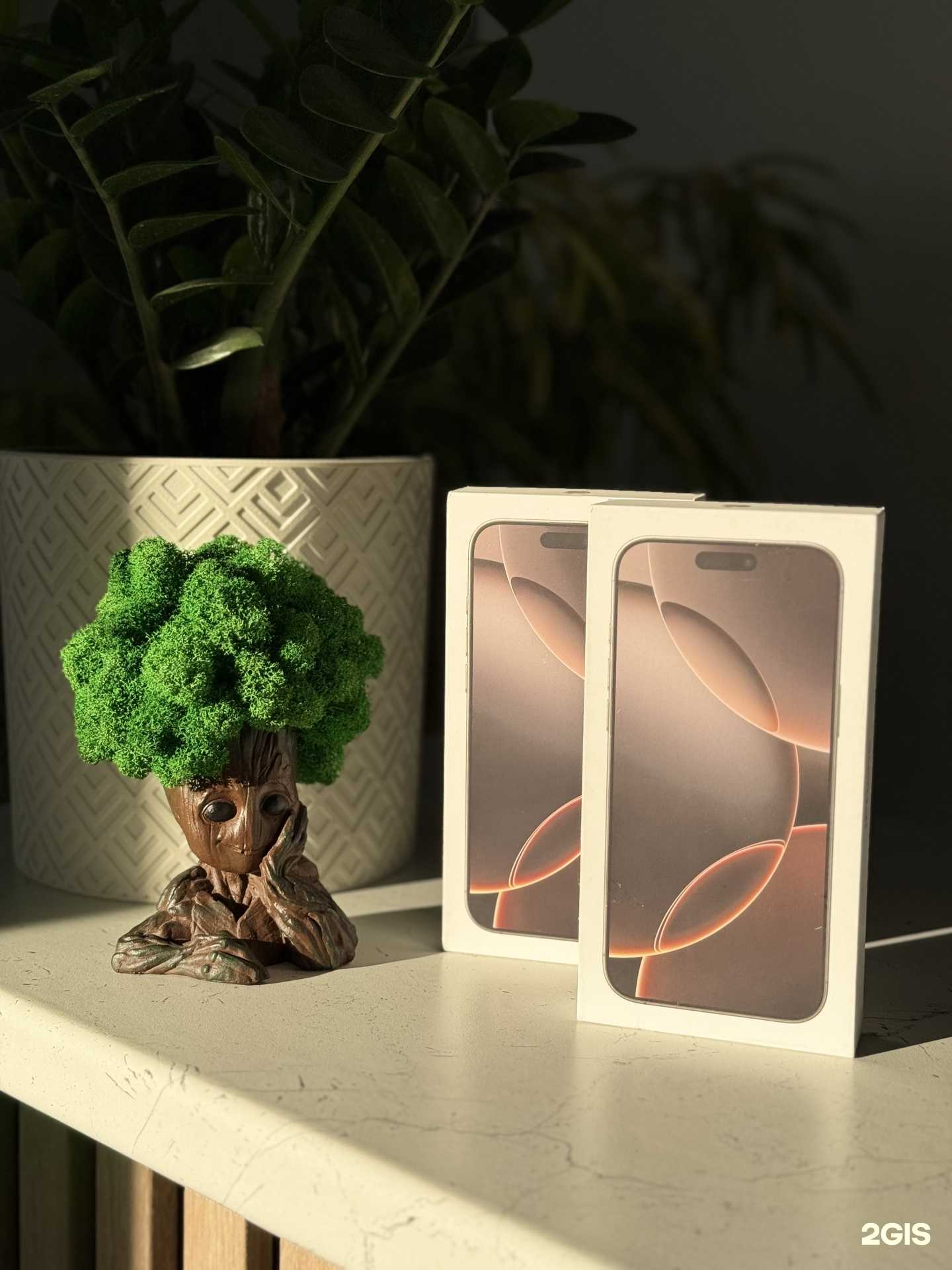 Отзывы на компанию Macintosh в Ростове-на-Дону c фото