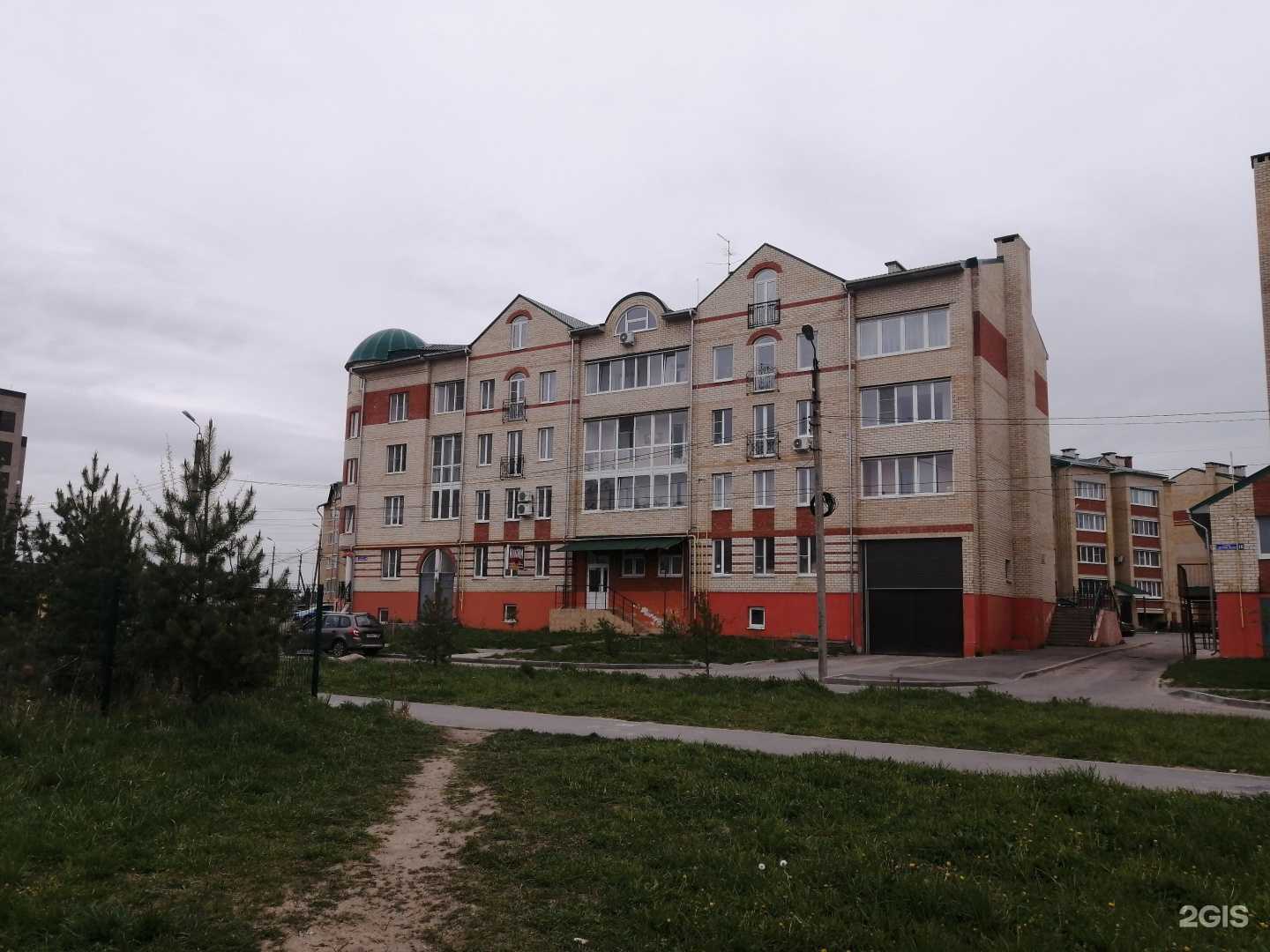 Отзывы на компанию Зубной Дозор в Твери c фото - фотография 2 из 2