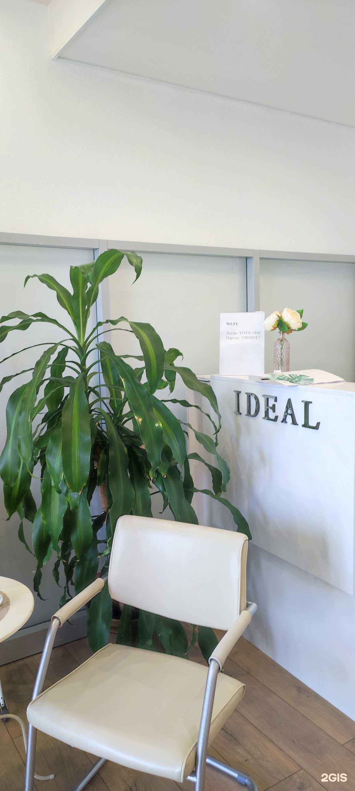 Отзывы на компанию Ideal Clinic в Сочи c фото