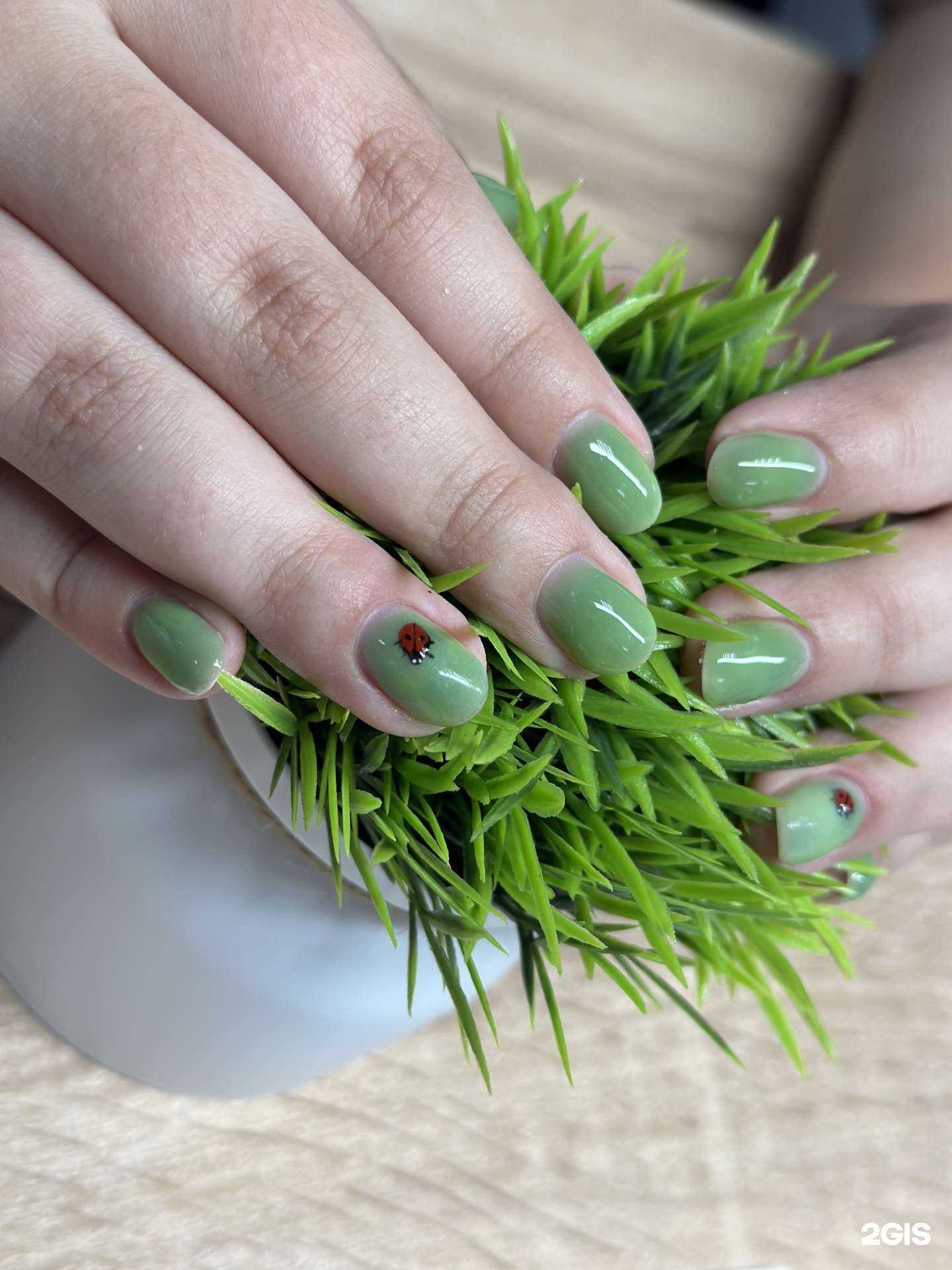 Отзывы на компанию Бьютистар в г. Кемерово c фото