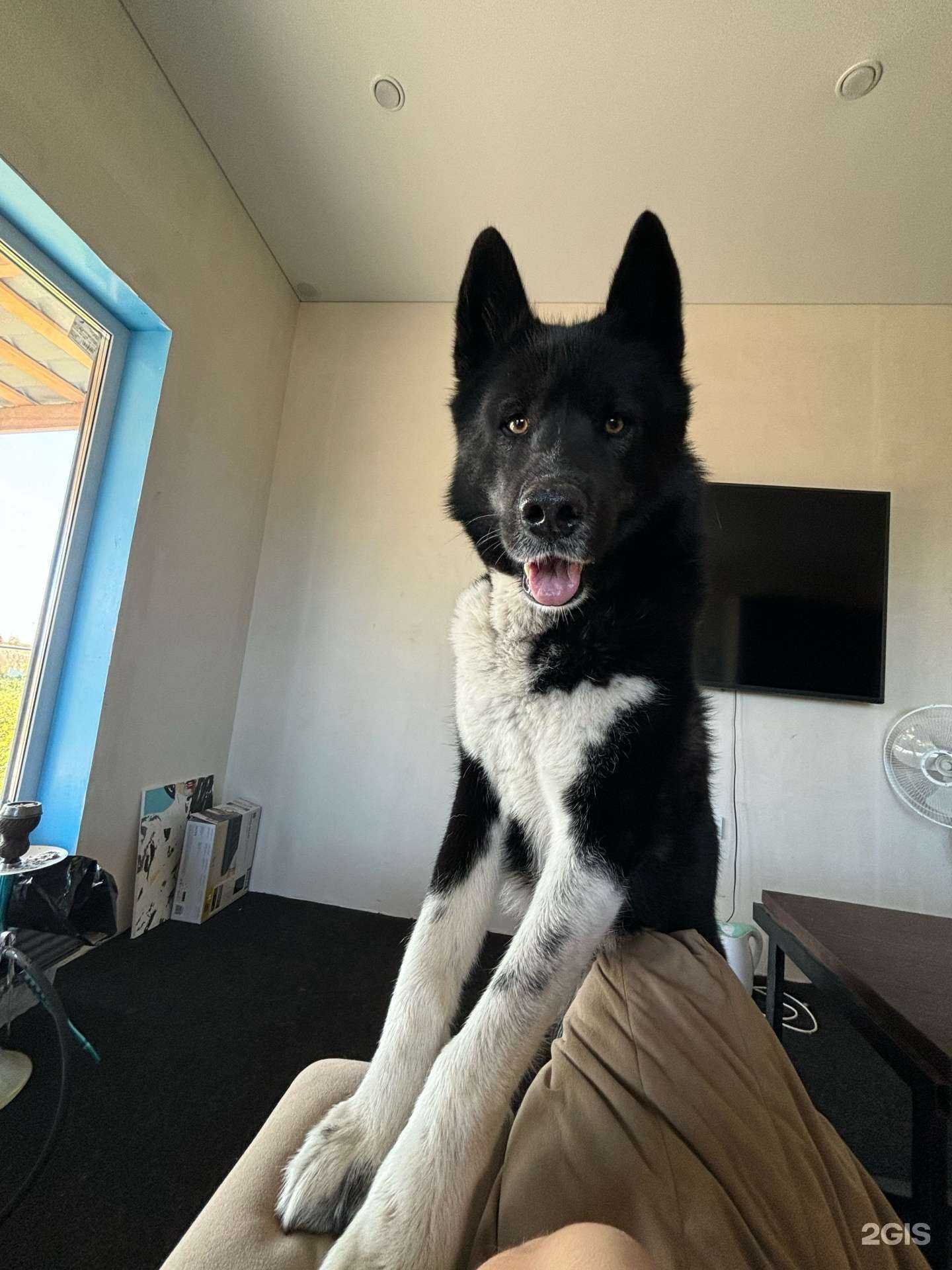 Отзывы на компанию Зоомаркет в г. Челябинск c фото