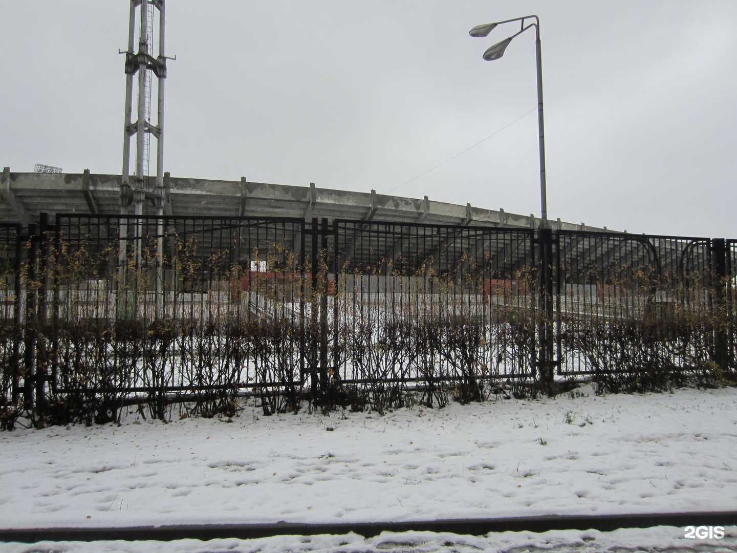 Отзывы на компанию Спортивная в Рязани c фото - фотография 2 из 2