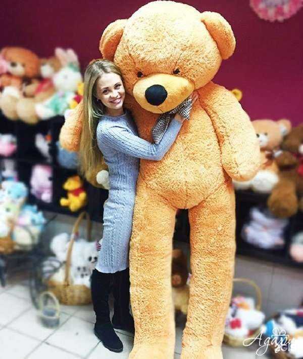 Отзывы на компанию Адари в Томске c фото