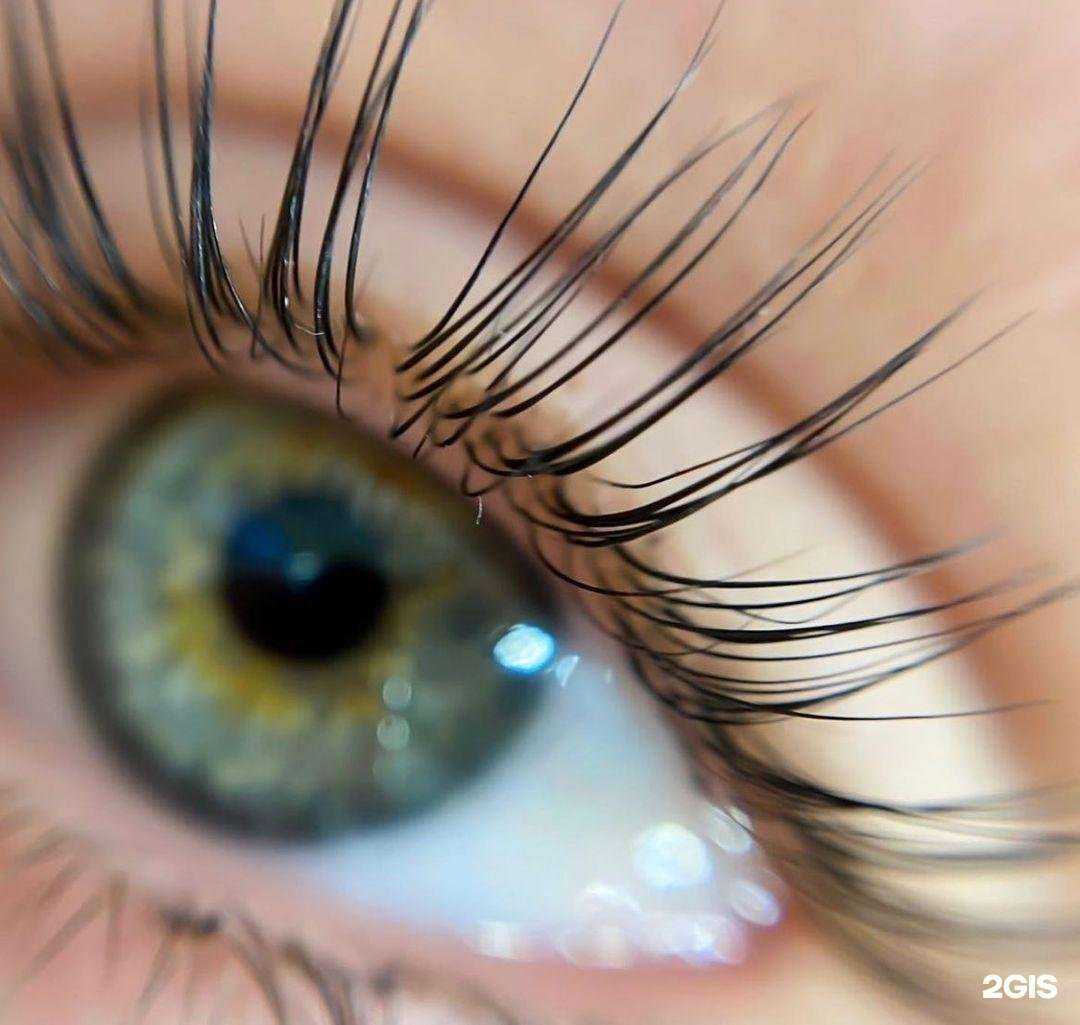 Отзывы на компанию Brow bar в г. Мурманск c фото