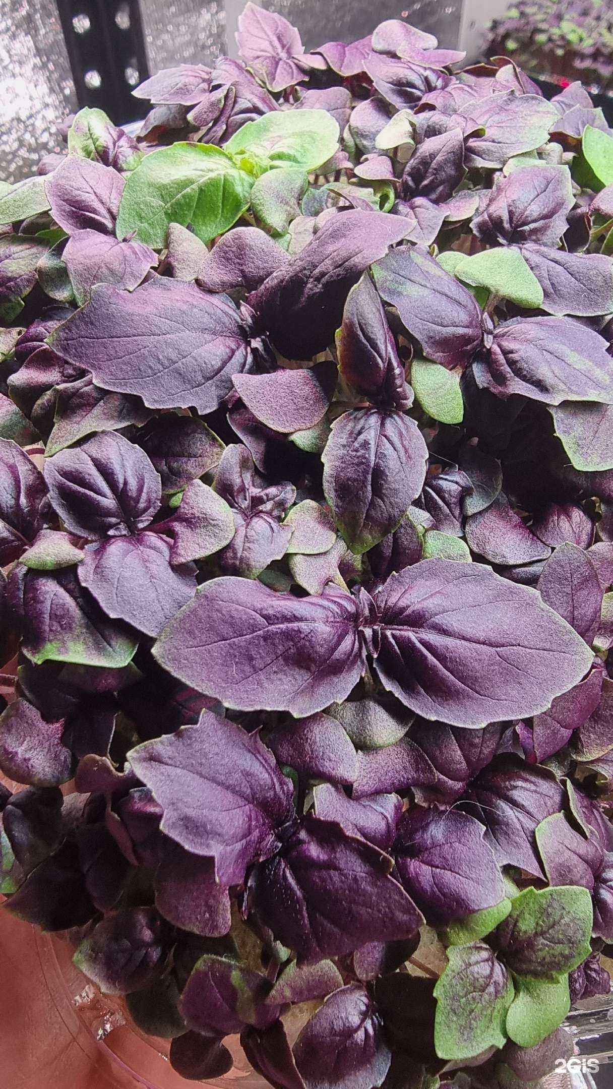 Отзывы на компанию ZlatCityGreen в г. Златоуст c фото