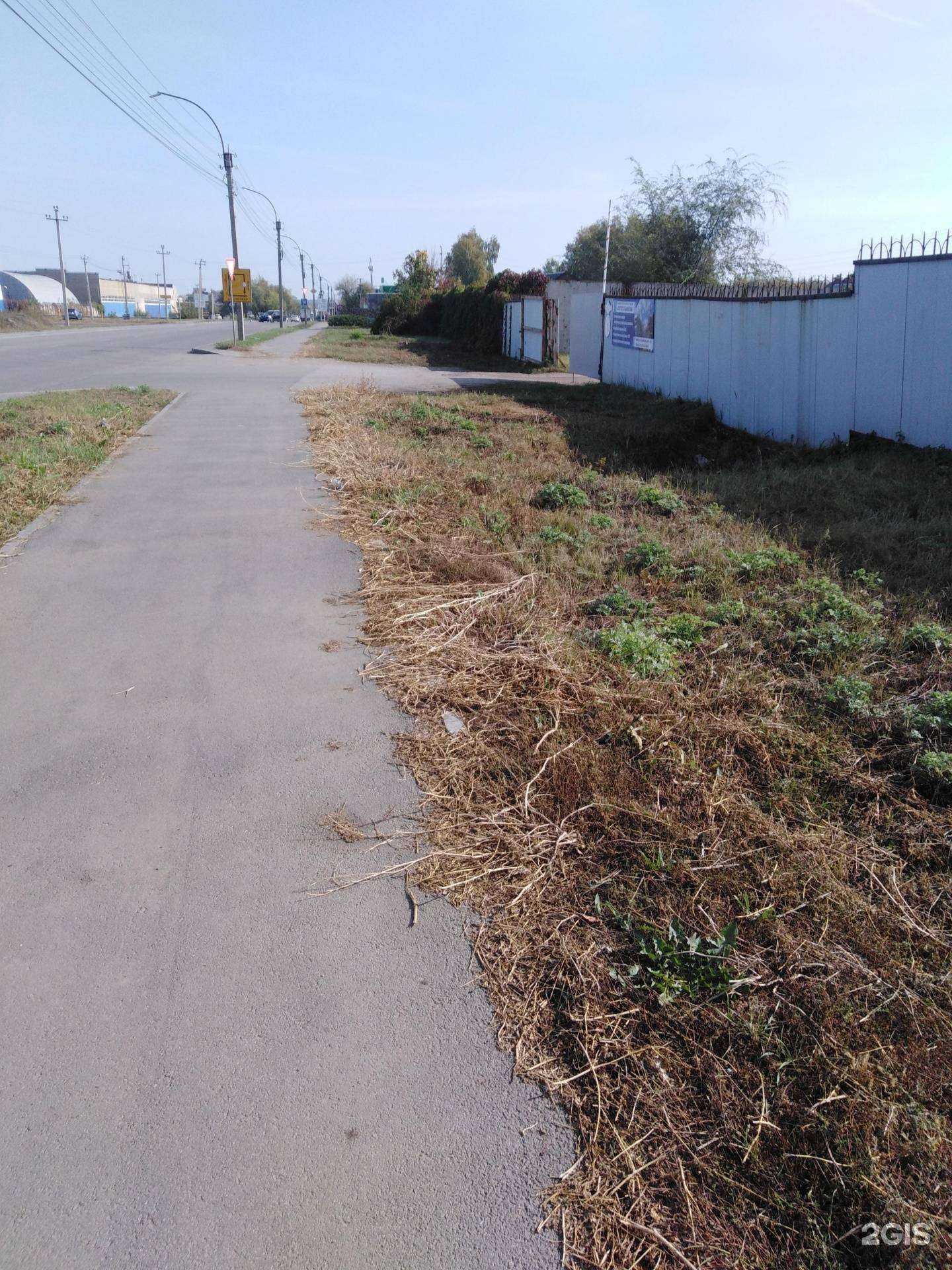 Отзывы на компанию Тамбовстальконструкция в Тамбове c фото