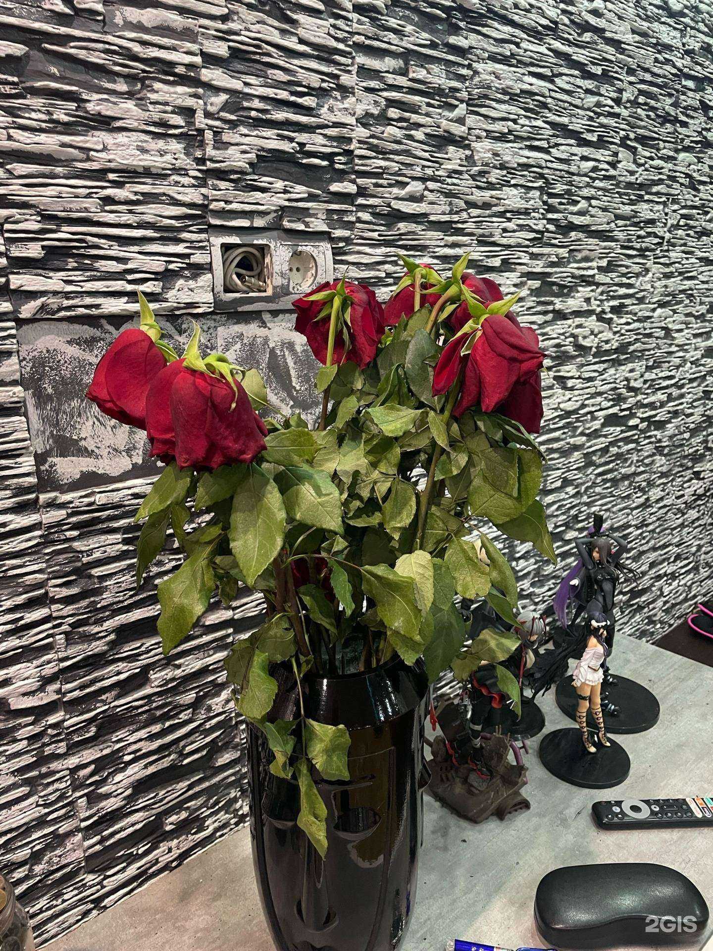 Отзывы на компанию Тюльпан в Норильске c фото