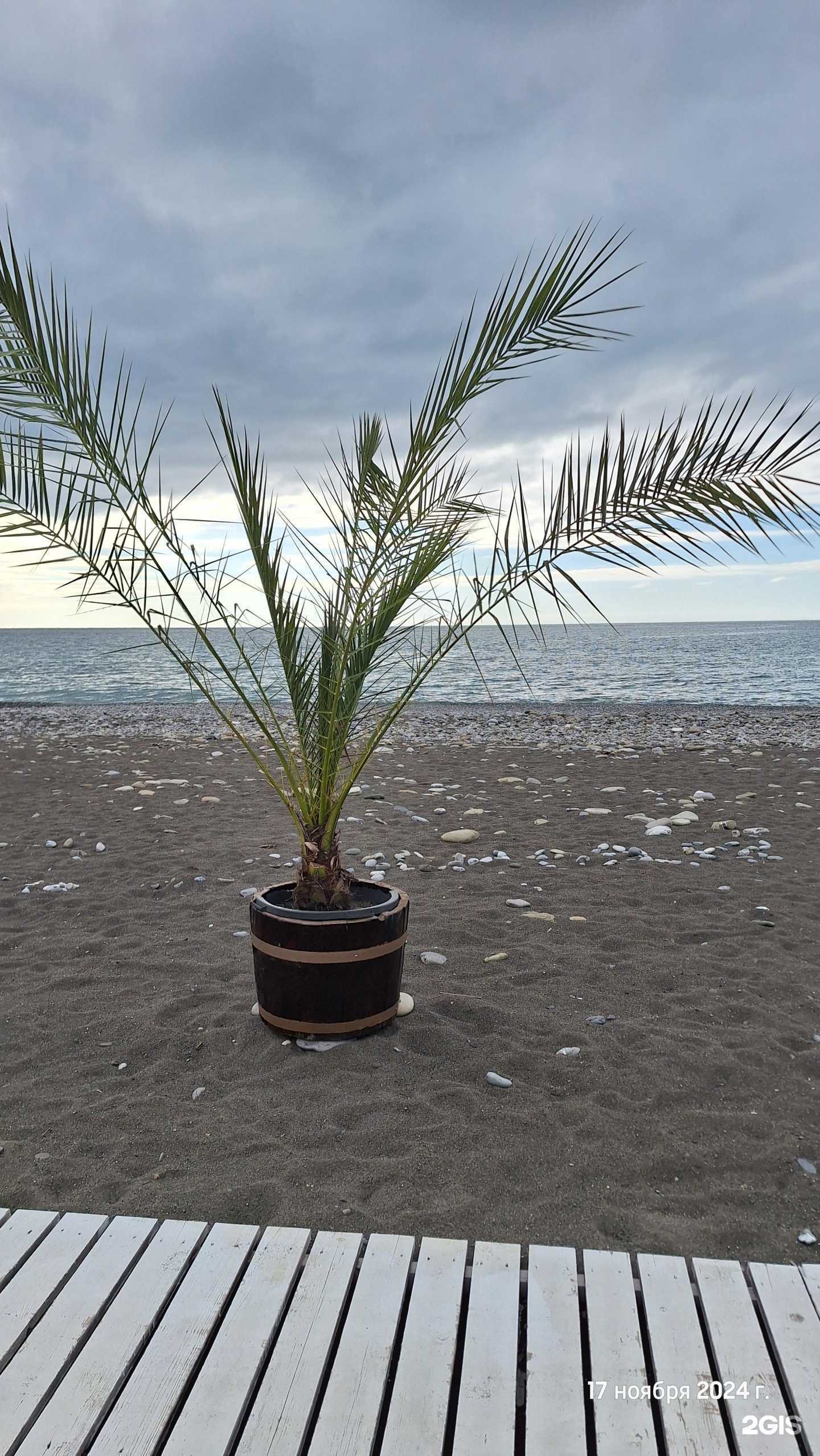 Отзывы на компанию Вера в Сочи c фото