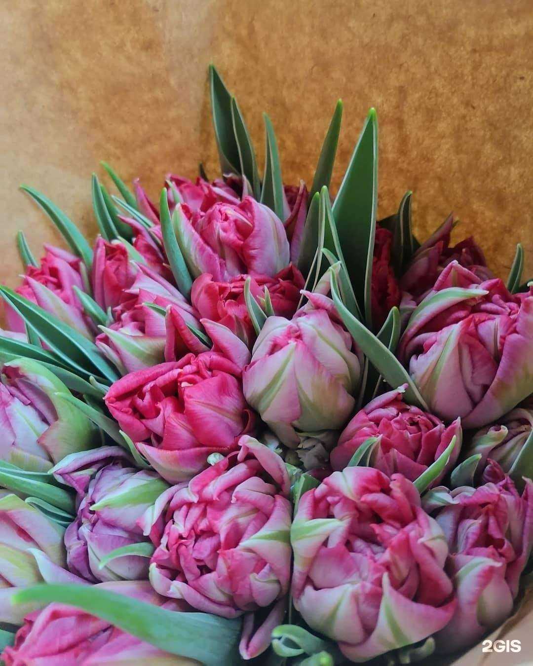 Отзывы на компанию Магазин цветов в г. Ульяновск c фото