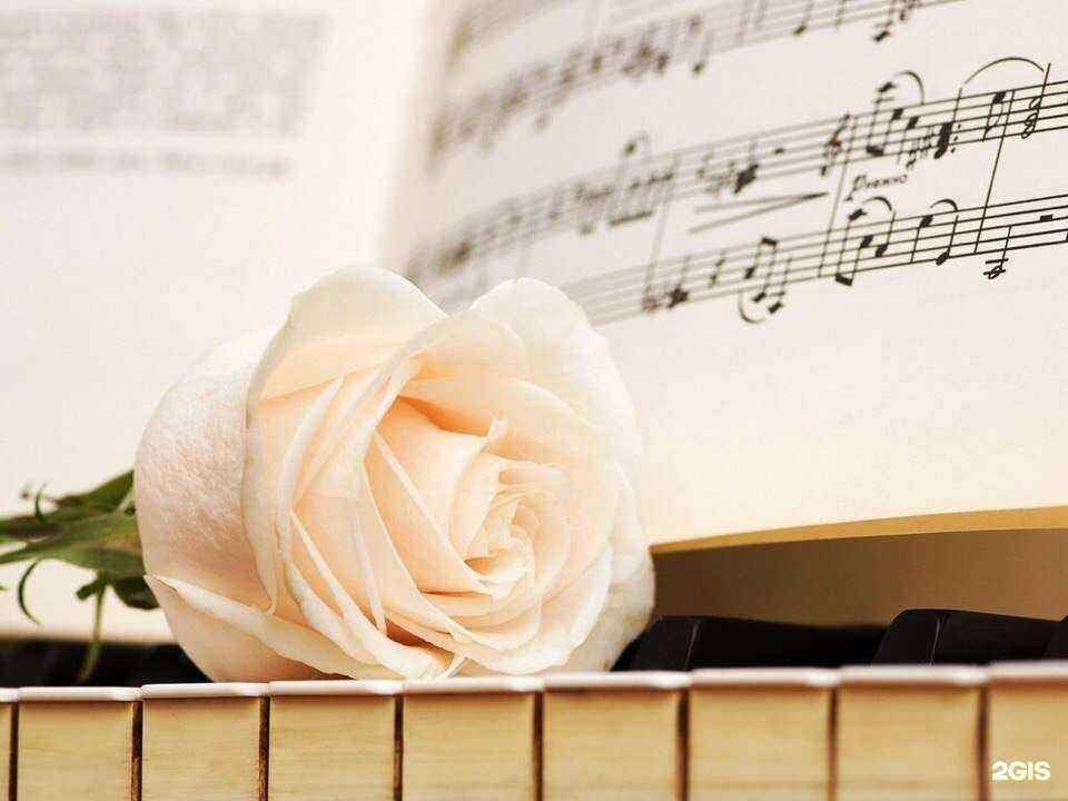 Отзывы на компанию Manufaktura Tango в г. Ангарск c фото