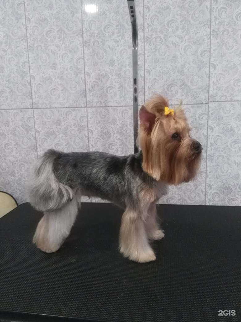 Отзывы на компанию Линда в Челябинске c фото