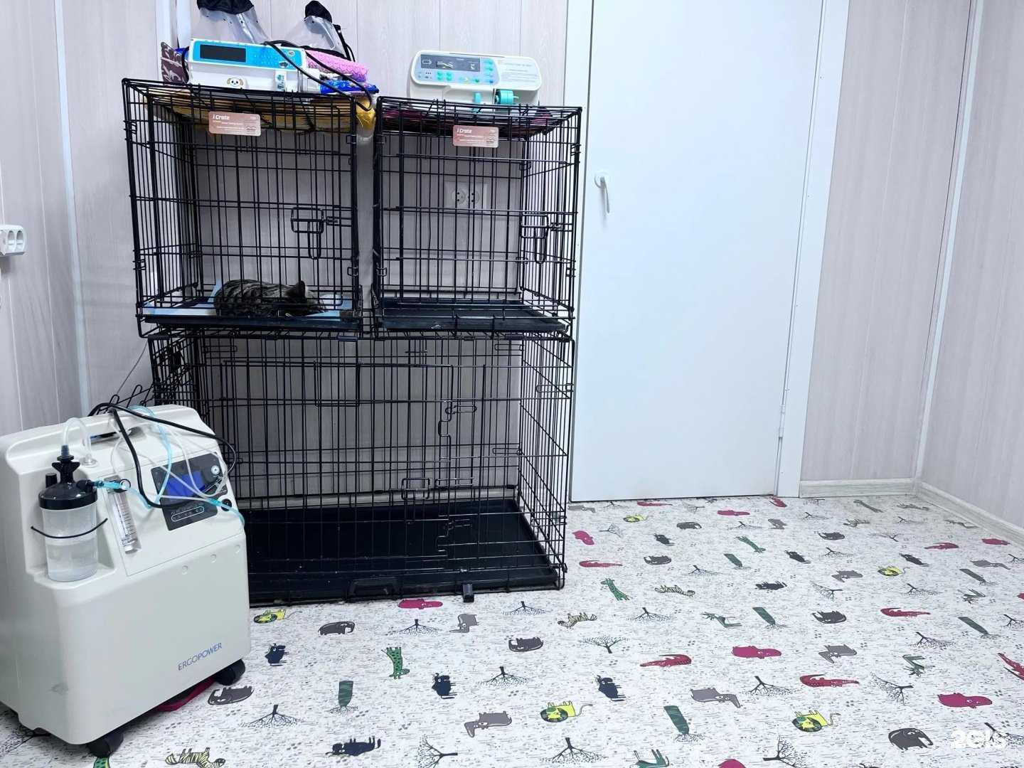 Отзывы на компанию Живой мир в Кирове c фото