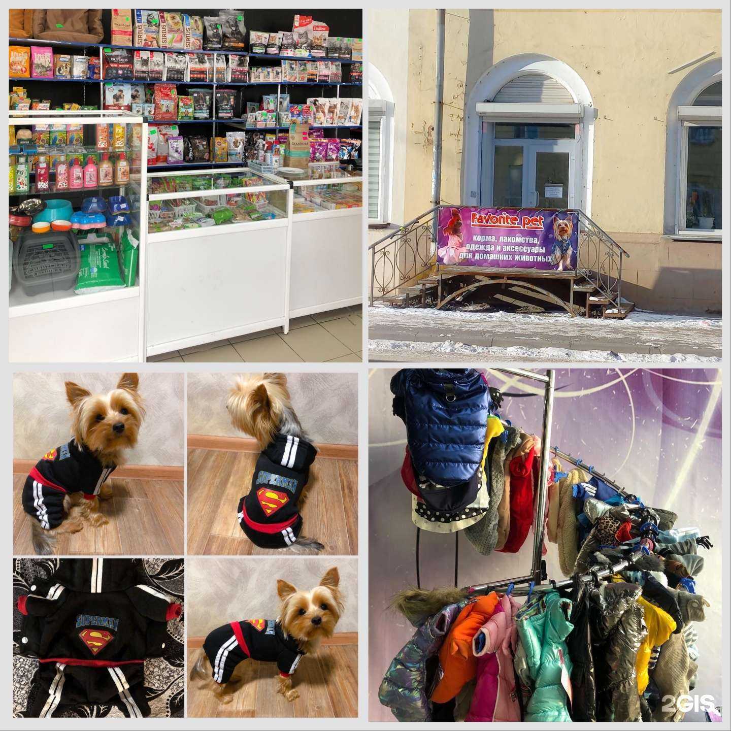 Отзывы на компанию Favorite pet в г. Ангарск c фото