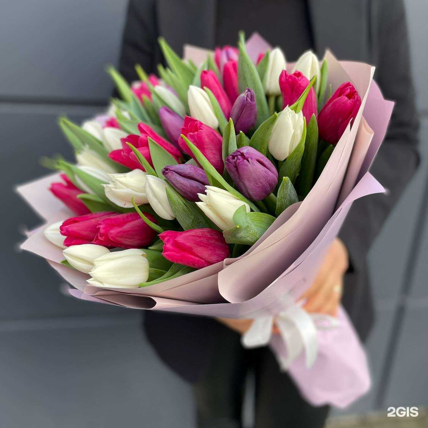 Отзывы на компанию Amsterdam в г. Владимир c фото