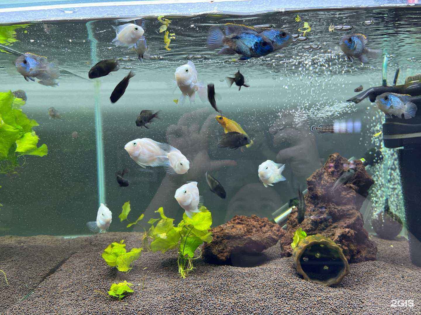 Отзывы на компанию Аmano в Самаре c фото