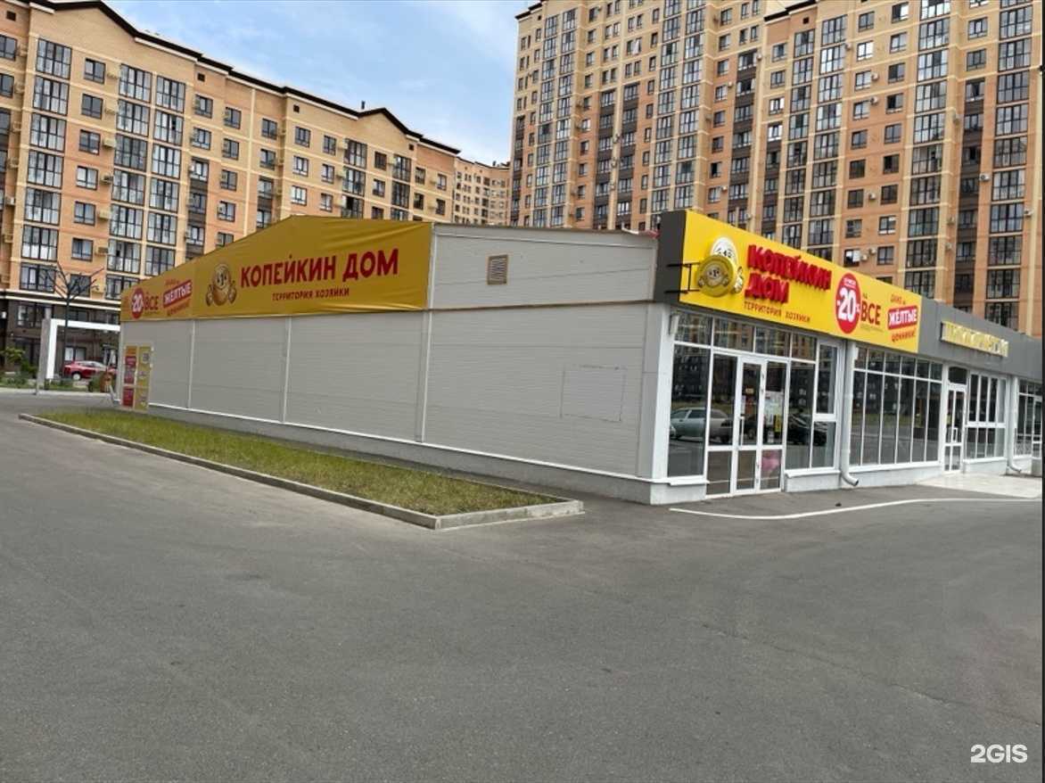 Отзывы на компанию Копейкин Дом в Ставрополе c фото