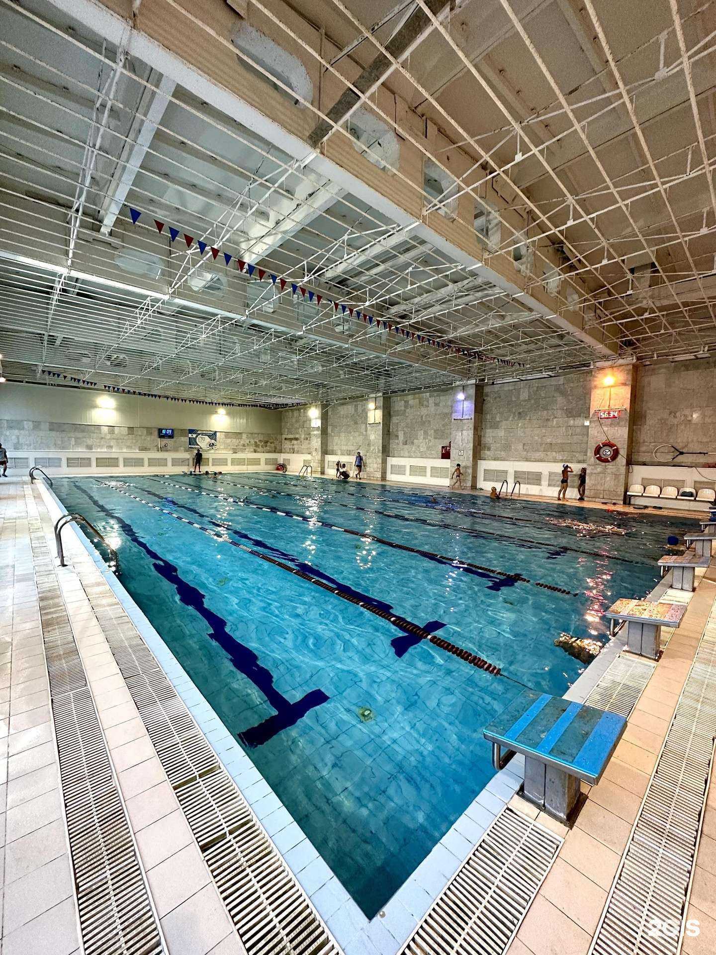 Отзывы на компанию SwimForever в Уфе c фото