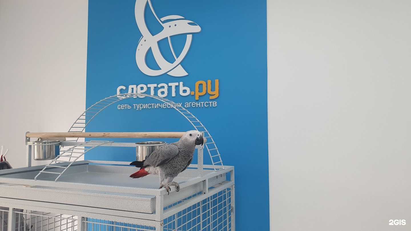 Отзывы на компанию Слетать.ру в г. Подольск c фото