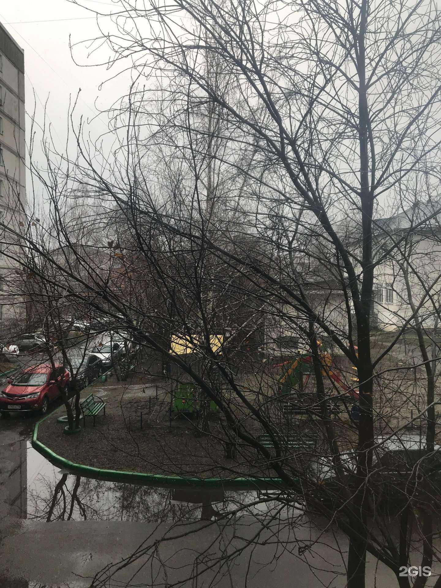 Отзывы на компанию Любимая в Бийске c фото - фотография 2 из 2