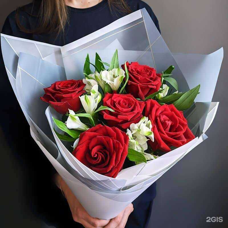 Отзывы на компанию Мак в Иркутске c фото